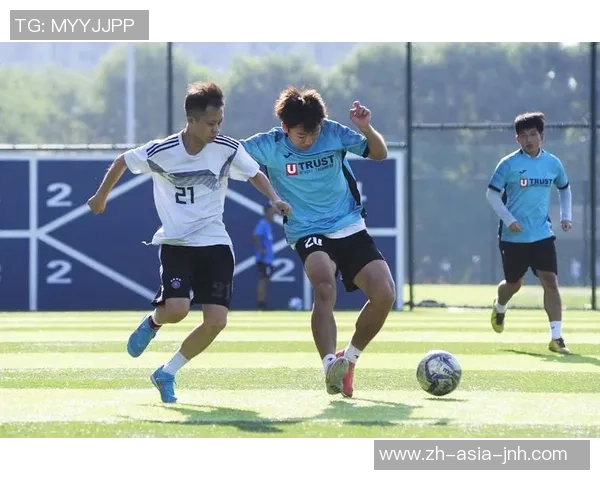 探索人工草场足球的未来发展与技术创新之路